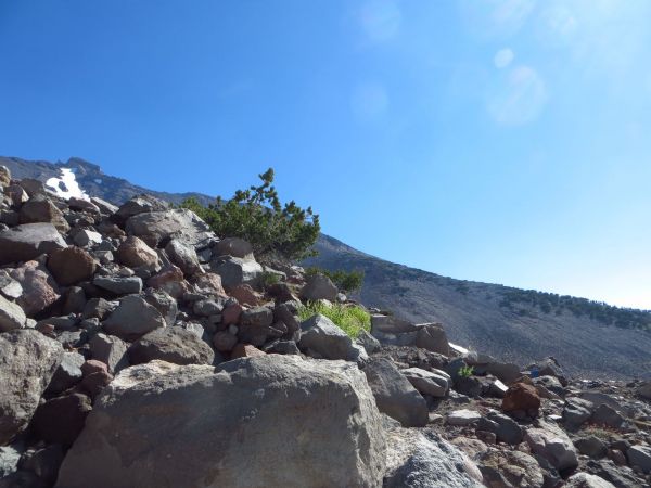 沙斯塔(Shasta)山, 北加州158742
