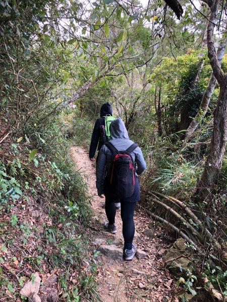 2020.03.08里龍山878285