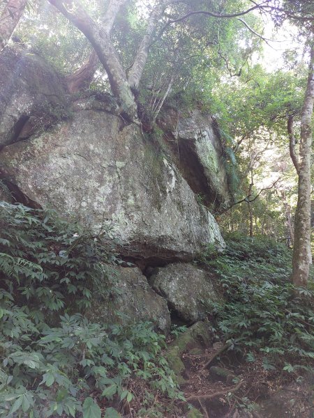 油羅山1上2下O行走2022/07/231789061