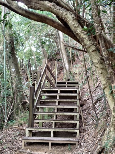 【新竹縣芎林鄉】文林古道2833073