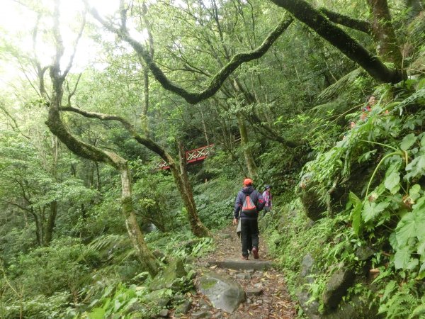 馬武督森林566528