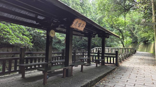 20260808 虎山親山步道3099952