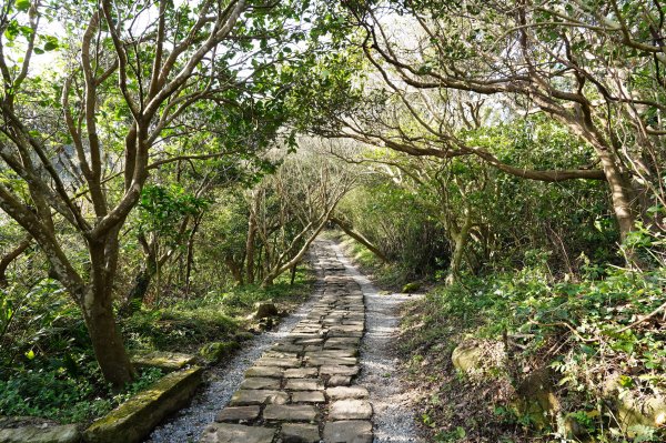 新北 八里 觀音山、牛港稜山2681338