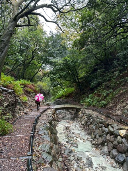 2026年元旦升旗快閃七星順探紫明溪2973990