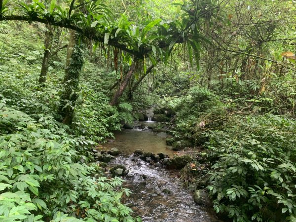 大崎棟古道、騎龍古道2772347