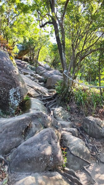 西湖捷運站-金面山-大崙頭山-圓覺-大湖公園捷運站2588706