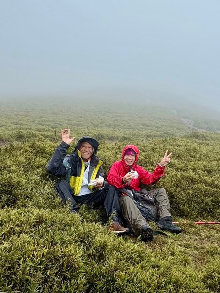 合歡北峰紅毛杜鵑盛開_202406052518331