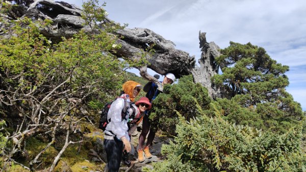 雪山主東北甘木林山下翠池2025年6月22日2823858
