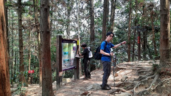 《台中》谷關七雄｜唐麻丹山順O型(松鶴線)202303252084693