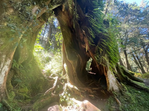 小百岳(59)-大塔山-202209251878703