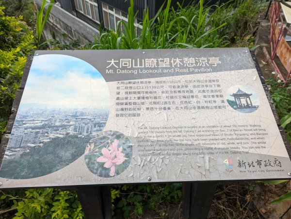 2022.03.05－大棟山縱走1636848