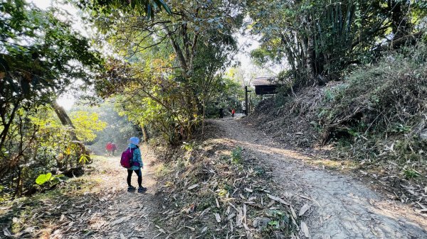 [台南東山]崁頭山步道|林蔭巨石木棧道視野遼闊的親子簡單輕鬆步道|優雅竹林圍繞三角點清幽野餐1603477