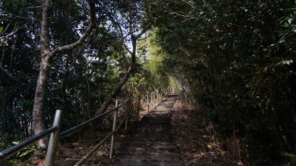 大湖尖山 鳳凰瀑布 紫雲寺1288601