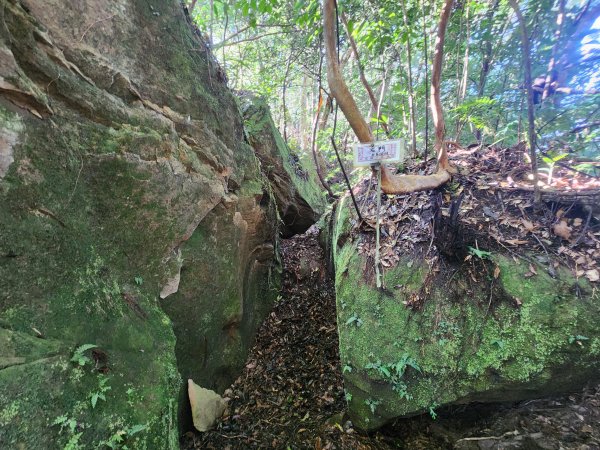 20251214石牛山柑坪山新柑坪山牛背岩2972736