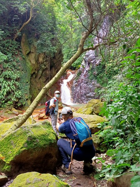 《暢遊天母翠峰瀑布、天母古道、下竹林山、玉稠湖山主峰&南峰》1445594