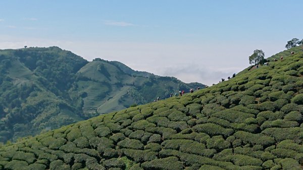 20201108雲嘉五連峰1625519