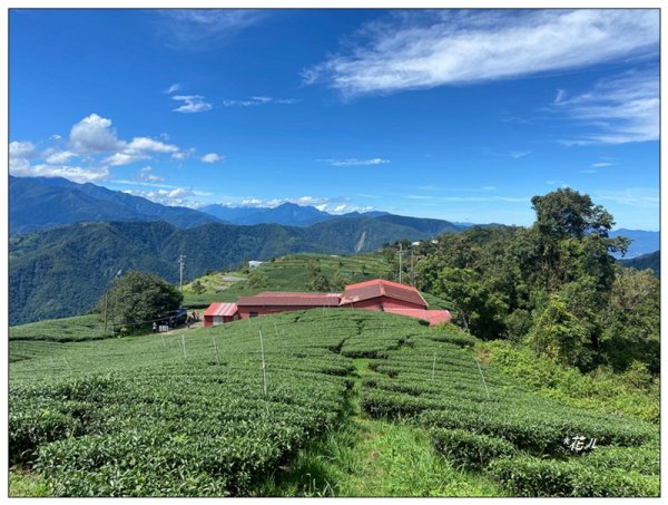 南東眼山 新基石 (南投、仁愛)2844761