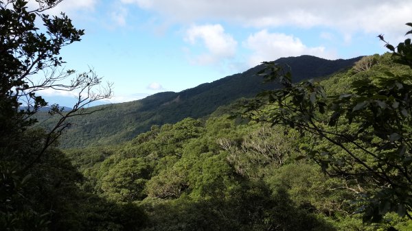 20190912 從雲森瀑布登樂佩山679440