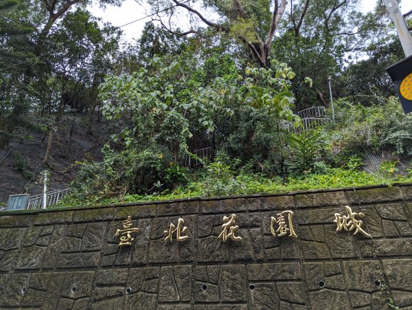 2024-03-31 金面山親山步道、剪刀石、象山親山步道2793305