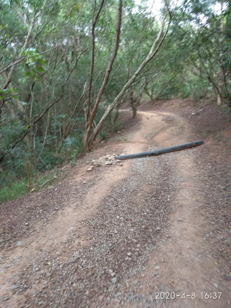 台中大肚環保公園步道913789