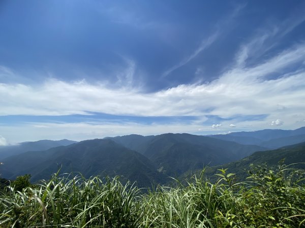 2020/7/26「烏來三山」拔刀爾山、美鹿山、高腰山1414426