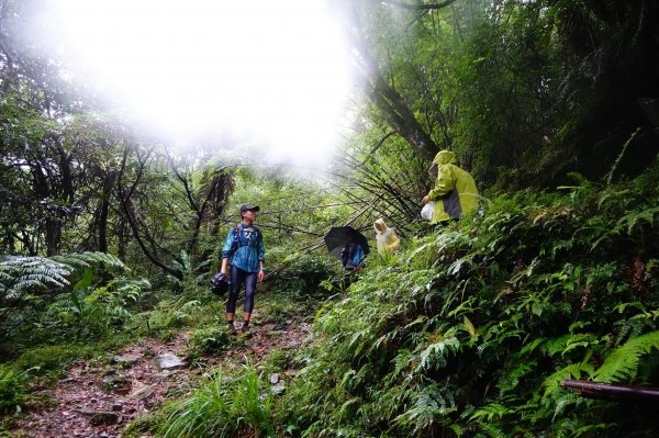 淡蘭古道中路O型988507