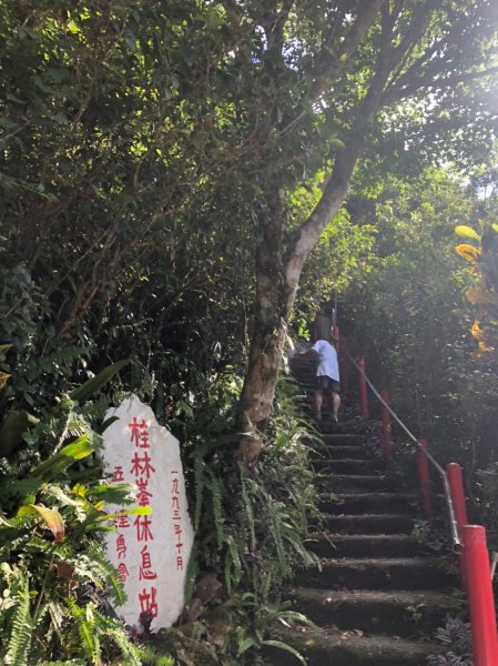 療癒系抹茶山，小百岳三角崙山，五峰旗瀑布1029853