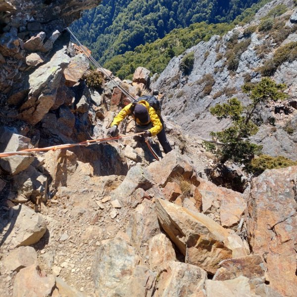 2025/228 武陵四秀2926740