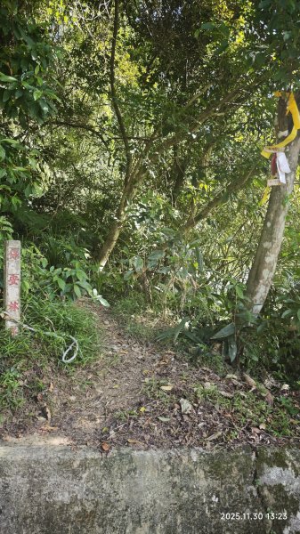 2025-1130 新店三(二)潭縱走2966919