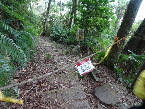 2022年02月13日(彰山協)南投日月潭四兄妹之中級山~大尖山縱走水社大山1613494