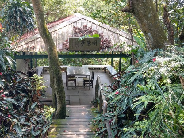 新店小獅山訪11座涼亭縱走待老坑山尋山頭902150
