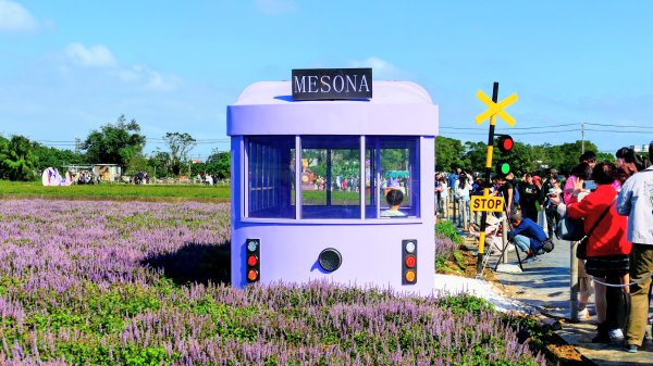 富岡仙草花2942404