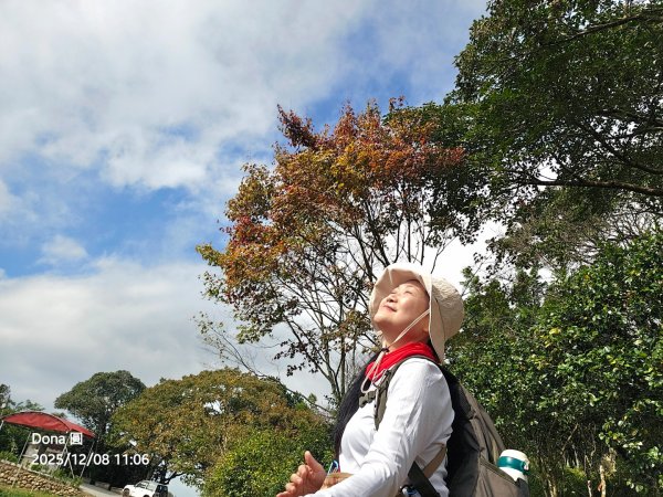 20251208雞寮坑山南稜線O走+鹿寮坑濕地賞景採果2969033