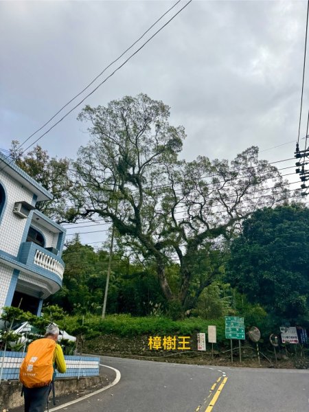 太元宮-關西玉山前-玉山/南柯山-東獅頭山/赤柯山南峰-赤柯山-太元宮 O繞2958033