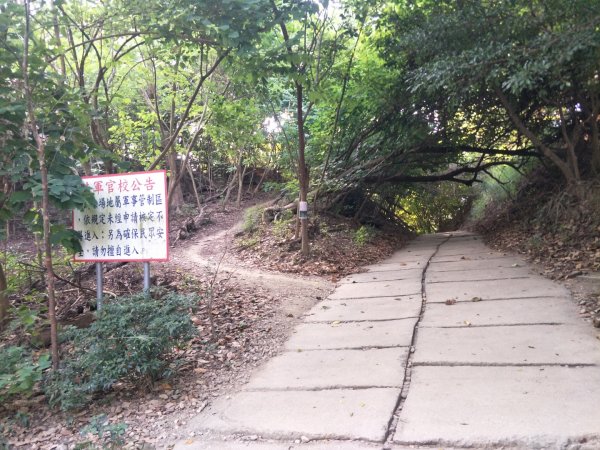 鳳凰山步道1518217