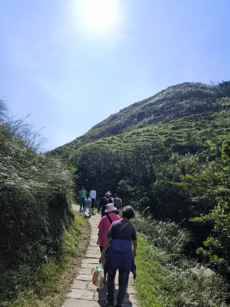 20251108草嶺古道2936129