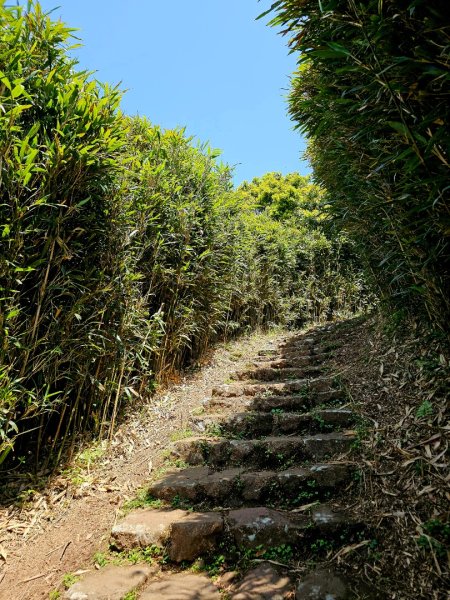 2026年臺北大縱走第二段：二子坪至小油坑3029488