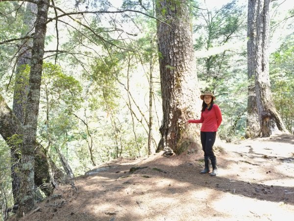 中央尖山四天20260412~153037947