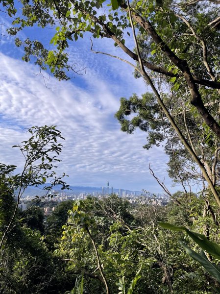 大湖翠湖金龍湖2711890