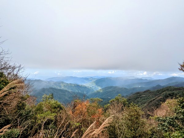 《北插天山》零星的山毛櫸、有點難攀的中級山1917271