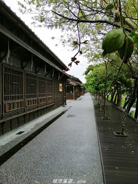 【宜蘭。羅東】漫遊在城市裡的蒼鬱綠林。 羅東林業文化園區步道1507974