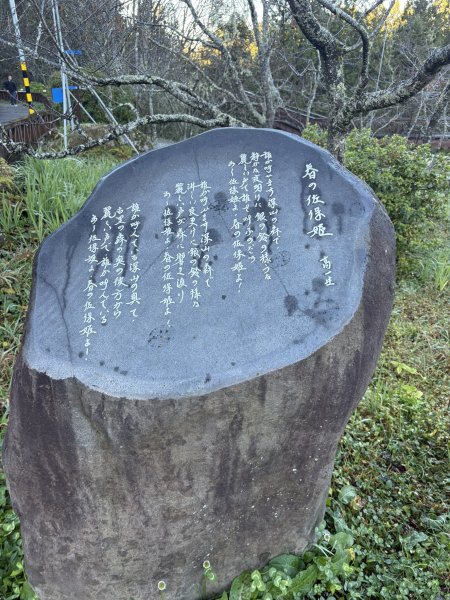 20251225塔山步道(大塔山)2970242