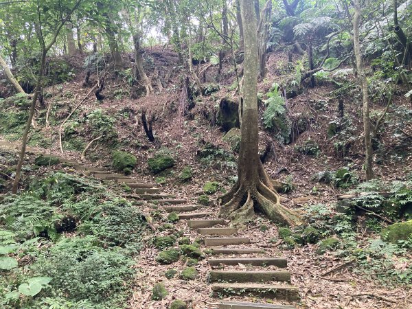 土庫岳2527749