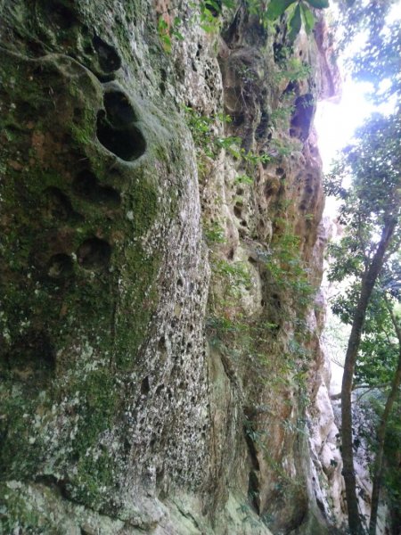 打鐵寮古道、石厝坑山、白石山O走1133580