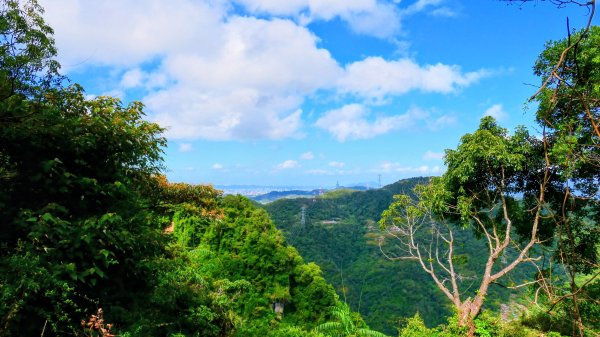 筆架山越嶺2918232