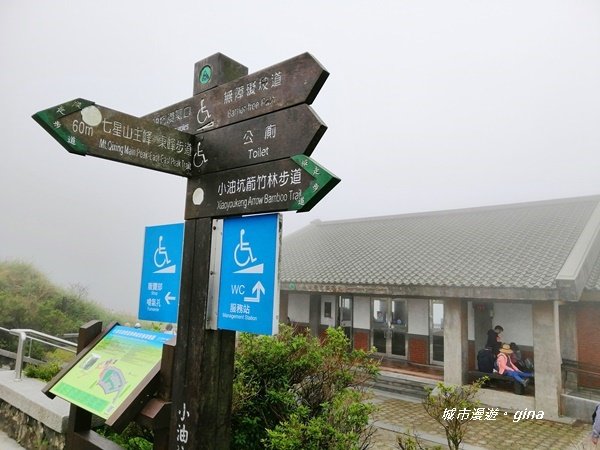 台北市第一高峰。 編號02小百岳七星山1235293
