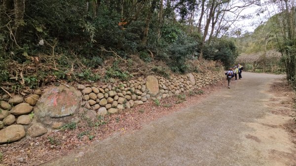 20260127三通嶺山.三義山(大桁茂山).慈濟山.大坪山大O走2989947
