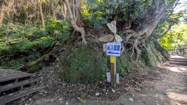 114.08.16和美山之微笑山線2864981