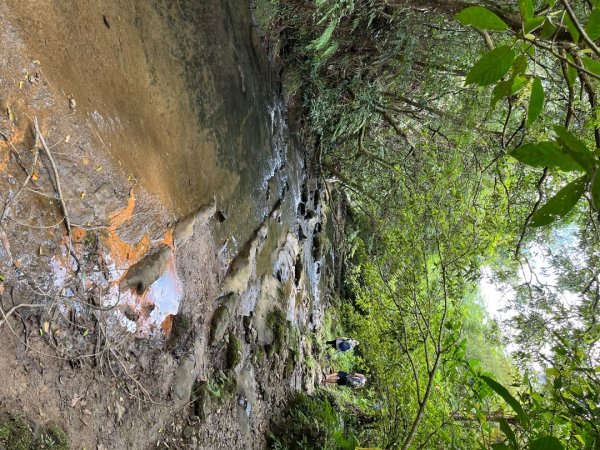 20230821_烏山-外澳古道2762701