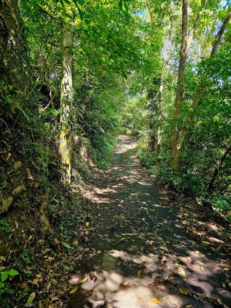 大山背麒麟步道 - 2024森遊竹縣皮皮獅Hike客任務2554887